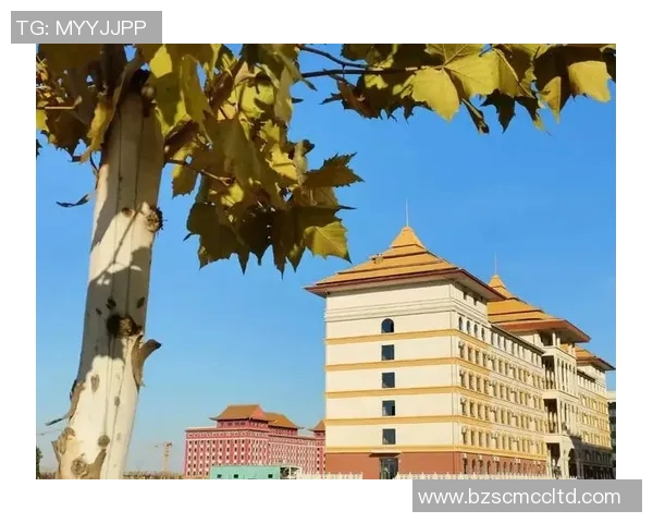 上海网球队的崛起之路:从默默无闻到全国冠军的成长历程 上海网球队的崛起之路:从默默无闻到全国冠军的成长历程