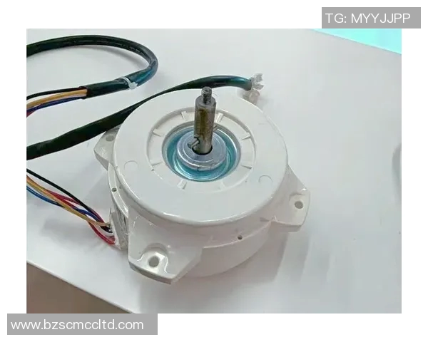 赵娜独家分享篮球心得与技巧助你提升球技的全面指南 赵娜独家分享篮球心得与技巧助你提升球技的全面指南