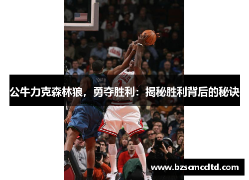 公牛力克森林狼，勇夺胜利：揭秘胜利背后的秘诀