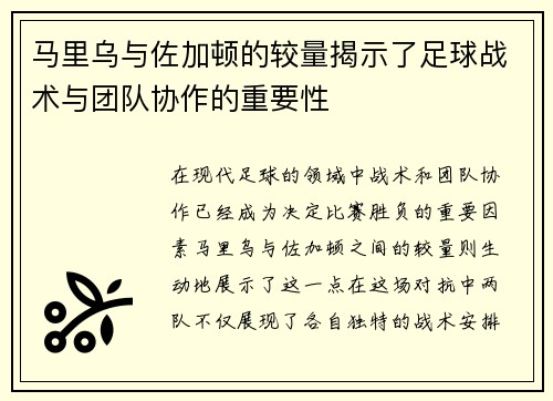 马里乌与佐加顿的较量揭示了足球战术与团队协作的重要性